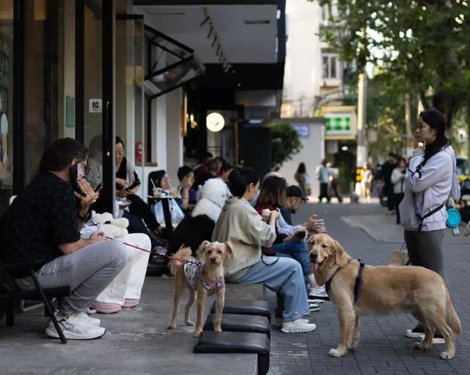 弃了双11爱上了“老年严选”AG真人国际这届脆皮年轻人抛(图4)