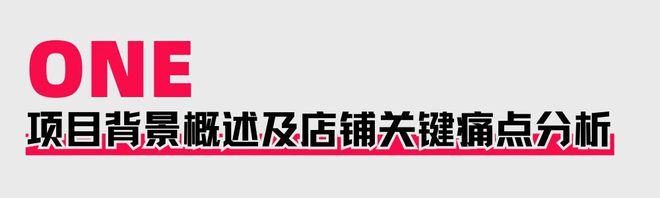 助力商家提升店铺层级月销售突破60WAG真人直营火蝠案例 定制营销策略(图2)