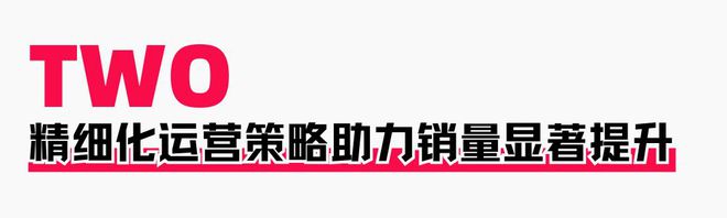 助力商家提升店铺层级月销售突破60WAG真人直营火蝠案例 定制营销策略(图8)